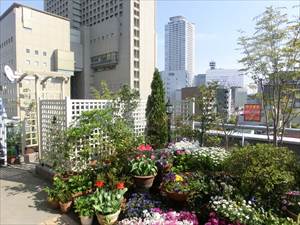 屋上庭園 - 施工例写真05