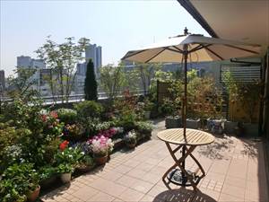 屋上庭園 - 施工例写真06